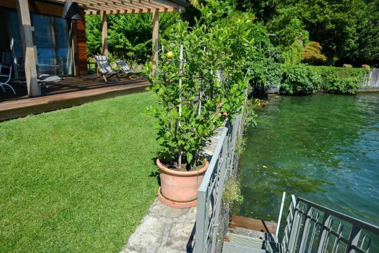Villa Delle Edere Brienno Экстерьер фото