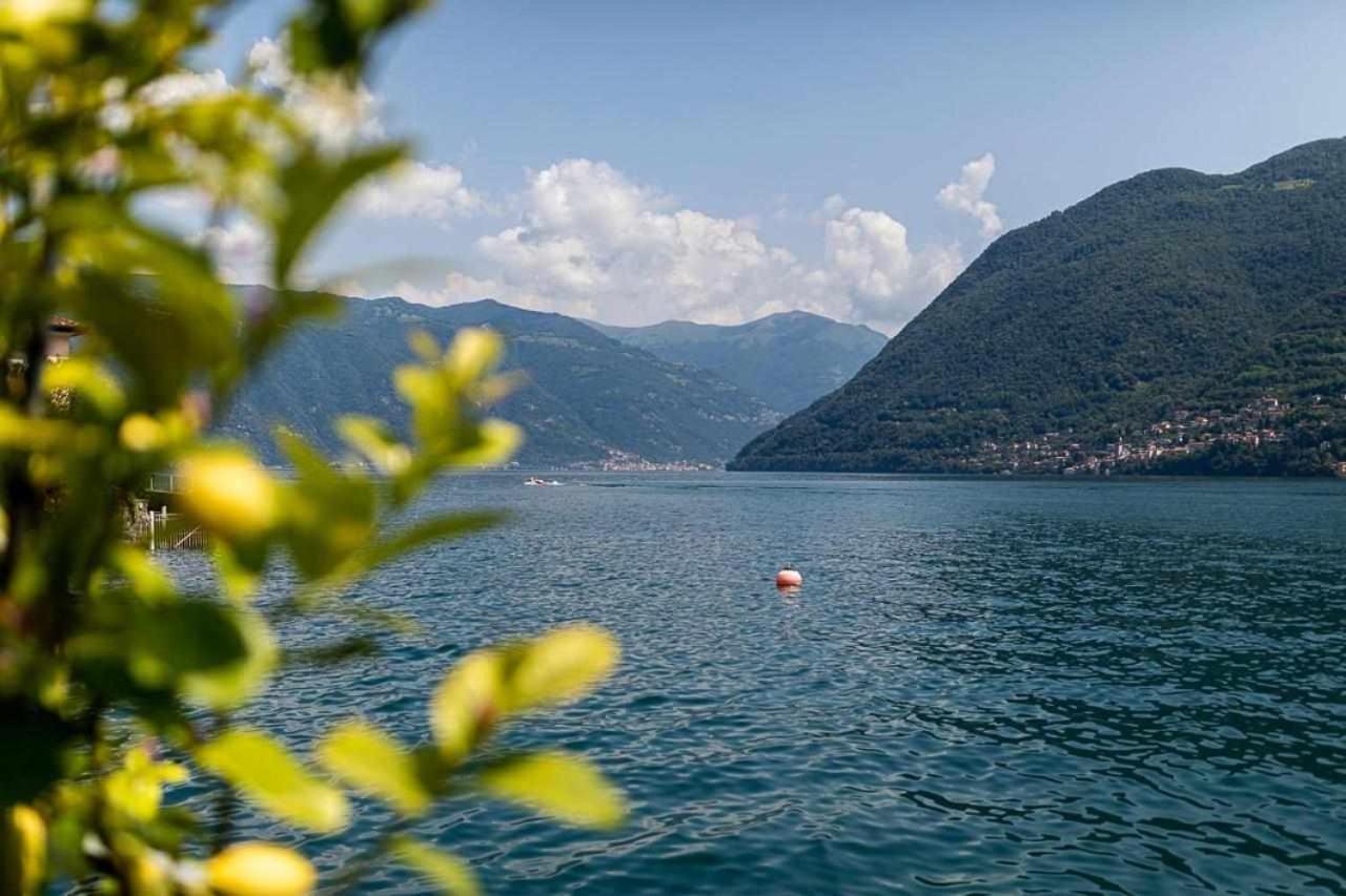 Villa Delle Edere Brienno Экстерьер фото