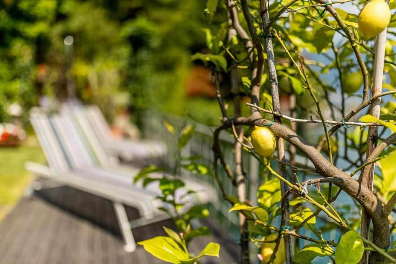 Villa Delle Edere Brienno Экстерьер фото